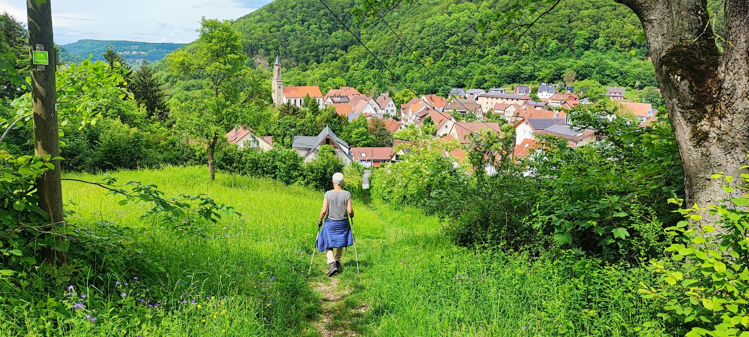 Blick auf Honau im Mai 2024