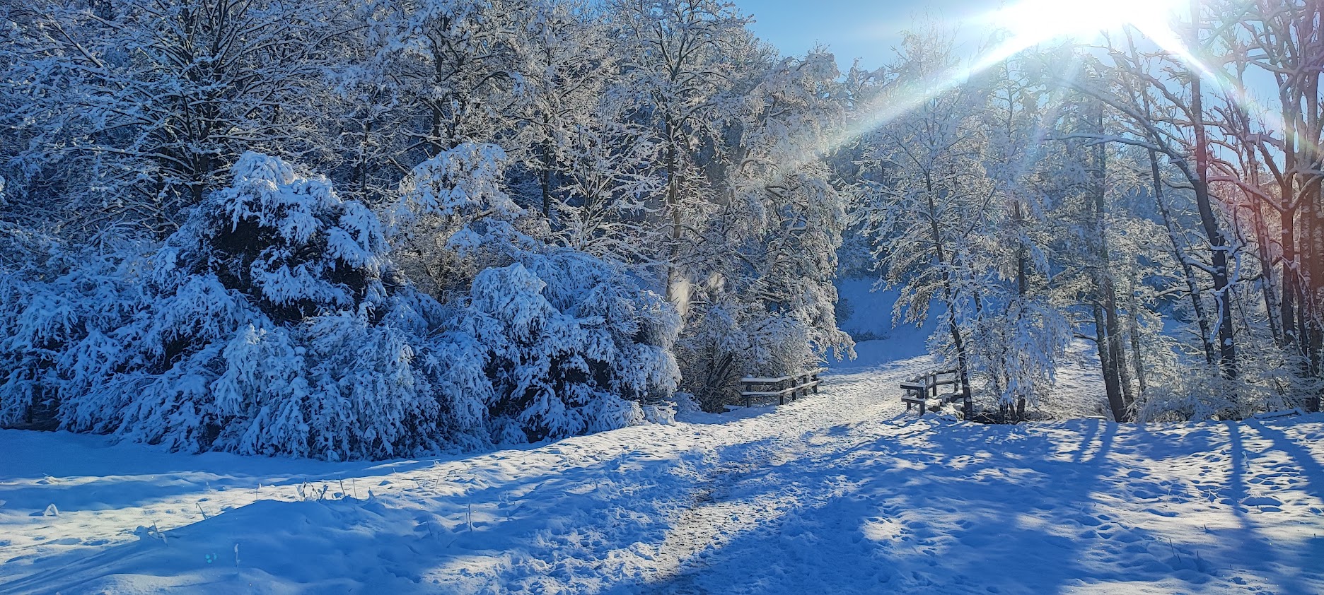 Winter an Brücke über den Scheuerlesbach im Naturschutzgebiet Listhof - 2.12.2023